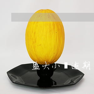 盛大小貸逾期沒還款(盛大小貸靠譜嗎)
