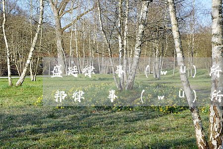 盛廷律師事務(wù)所哪個律師好(法制盛邦律師事務(wù)所名律師)