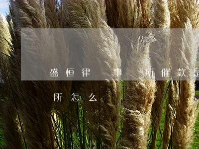 盛恒律師事務所催款是真的么(盛恒律師事務所怎么樣)