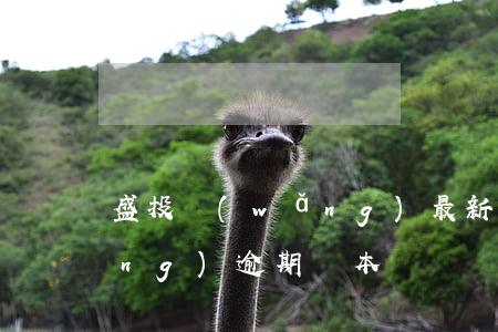 盛投網(wǎng)最新消息（盛投網(wǎng)逾期還本錢）