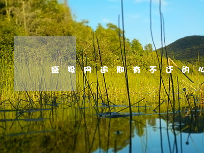 盛投网逾期有不还的么(盛投网最新消息)