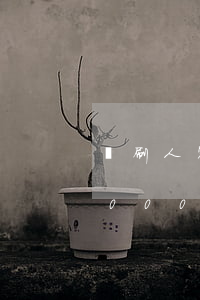 盜刷人家信用卡還不起-盜刷別人信用卡7000元對方不諒解后果會(huì)怎樣?
