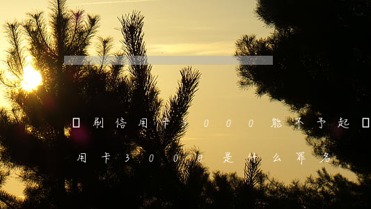 盜刷信用卡3000能不予起訴嗎-盜刷信用卡3000是什么罪名