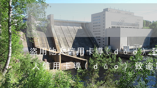 盜用他人信用卡導(dǎo)致逾期(盜用他人信用卡導(dǎo)致逾期)