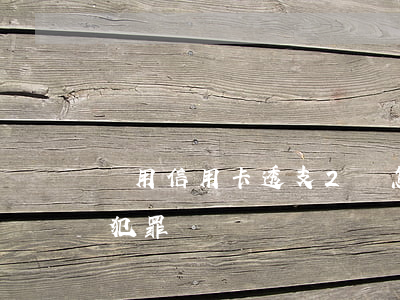 盜用信用卡透支2萬怎么辦(透支2萬信用卡犯罪嗎?)