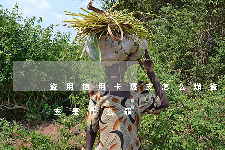 盜用信用卡透支怎么辦(盜竊信用卡并惡意透支是什么罪)