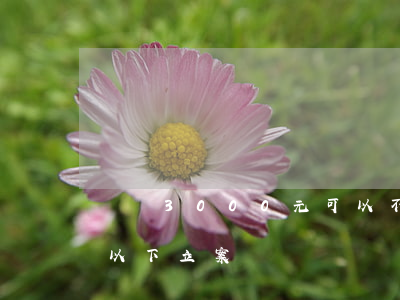 盜竊3000元可以不起訴嗎(盜竊3000以下立案嗎)