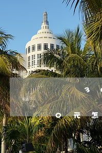 盜竊3000元可以不起訴嗎(盜竊罪3000元怎么處理)