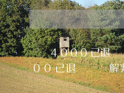 盜竊4000已退還獲諒解判幾年(盜竊4000已退還獲諒解判幾年)