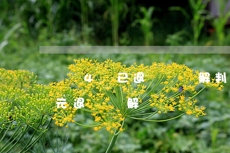 盜竊4萬已退還獲諒解判幾年(盜竊一萬五千元退贓諒解)