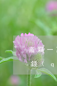 盜竊一萬(wàn)罰款多少(盜竊偷了多少錢(qián)罰金就是多少)