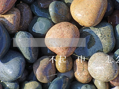 盜竊不起訴申請書怎么寫(盜竊案起訴書)