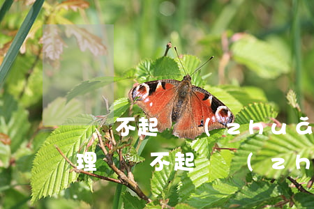 盜竊不起訴轉(zhuǎn)派出所怎么處理(盜竊不起訴轉(zhuǎn)派出所怎么處理)