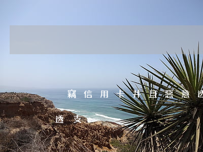 盜竊信用卡并且惡意透支(信用卡被他人惡意透支)