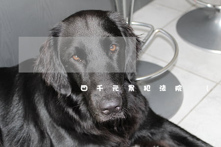 盜竊四千元累犯法院會(huì)怎么判