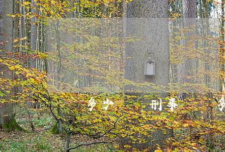 盜竊多少錢夠刑事(盜竊多少錢算犯罪)