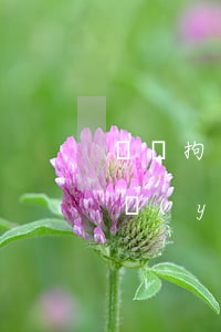 盜竊拘留七天還需要賠償嗎(盜竊罪拘留5天嚴(yán)重嗎)