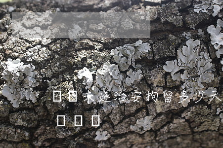 盜竊未遂治安拘留多少天(盜竊未遂可以治安處罰嗎)