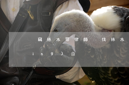 盜竊林木罪律師(盜伐林木罪與盜竊罪競(jìng)合)