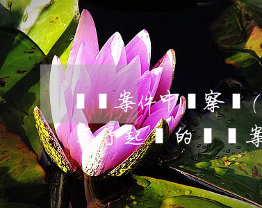 盜竊案件中檢察機(jī)關(guān)不予起訴的(盜竊案件中檢察機(jī)關(guān)不予起訴的后續(xù))