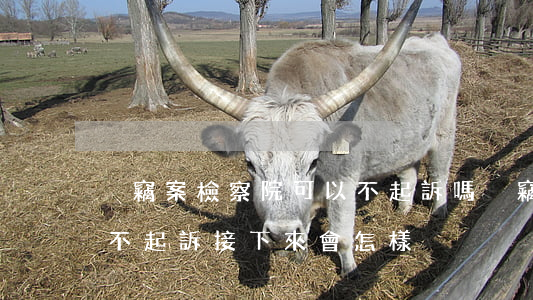 盜竊案檢察院可以不起訴嗎(盜竊案件檢察院不起訴接下來會怎樣)