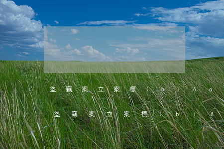 盜竊案立案標(biāo)準(zhǔn)(盜竊案立案標(biāo)準(zhǔn)跟追訴標(biāo)準(zhǔn))