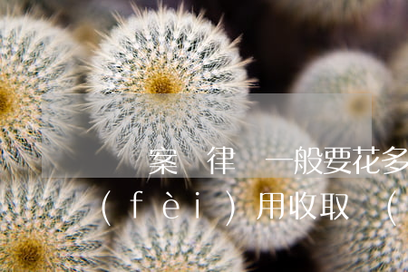 盜竊案請律師一般要花多少錢(盜竊罪律師費(fèi)用收取標(biāo)準(zhǔn))