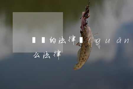 盜竊的法律關(guān)系(盜竊觸犯了什么法律)