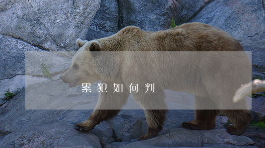 盜竊累犯如何判罰