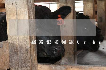 盜竊累犯如何認(rèn)定