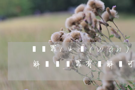 盜竊罪14萬(wàn)可以判多少年有諒解書(盜竊罪有諒解書可以輕判多久)