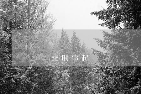 盜竊罪刑事起訴書
