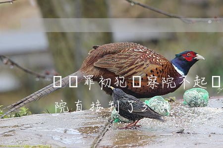 盜竊罪初犯檢察院不起訴幾率(盜竊罪到檢察院直接判了3月)