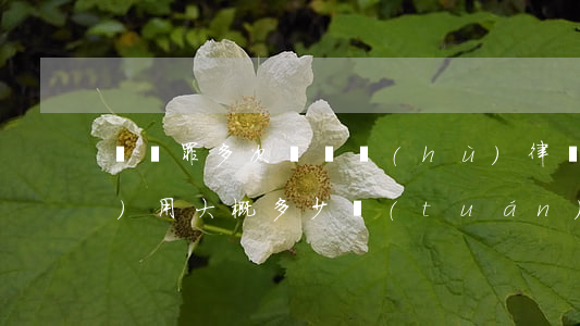 盜竊罪多次請辯護(hù)律師費(fèi)用大概多少(團(tuán)伙盜竊案請律師辯護(hù)有用嗎)