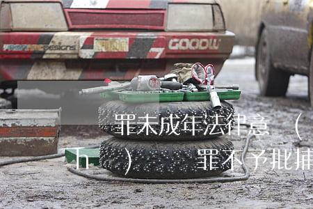 盜竊罪未成年法律意見(jiàn)書(shū)(盜竊罪不予批捕的法律意見(jiàn)書(shū))