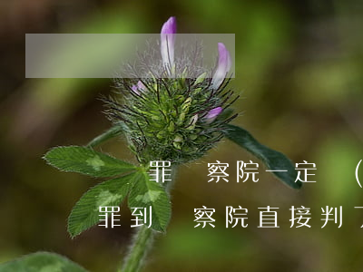 盜竊罪檢察院一定會(huì)起訴嗎(盜竊罪到檢察院直接判了3月)