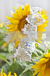盜竊罪沒錢陪怎么辦(盜竊罪沒錢賠償怎么辦)