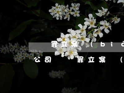 盜竊罪立案標(biāo)準(zhǔn)(公司盜竊罪立案標(biāo)準(zhǔn))
