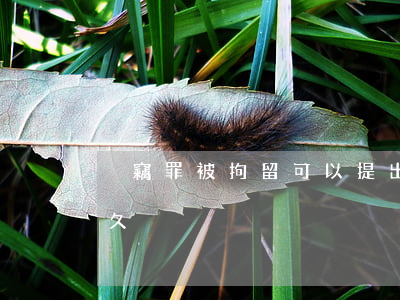 盜竊罪被拘留可以提出離婚嗎(盜竊罪拘留多久)