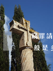 盜竊罪請(qǐng)律師費(fèi)用一般是多少錢(盜竊罪什么時(shí)候請(qǐng)律師最合適)