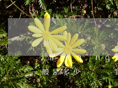 盜竊罪請(qǐng)律師費(fèi)用一般是多少錢(盜竊罪請(qǐng)律師能起到多大的作用)