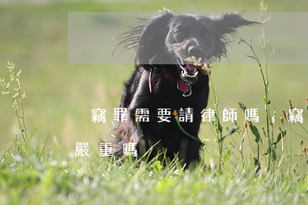 盜竊罪需要請律師嗎(盜竊罪不請律師會判的嚴重嗎)