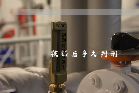 盜竊被抓后多久判刑（盜竊被抓怎么處理）