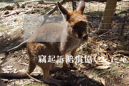 盜竊起訴賠償協(xié)議書范本