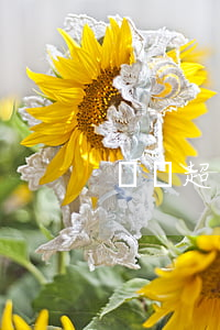 盜竊超市起訴書(超市盜竊怎么處罰)