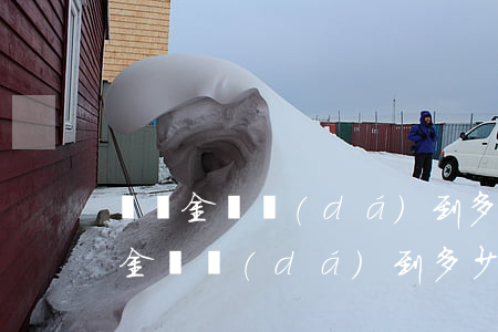 盜竊金額達(dá)到多少拘留15天(盜竊金額達(dá)到多少拘留15天)