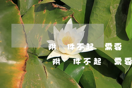盜竊附條件不起訴需要諒解書(shū)嗎(盜竊附條件不起訴需要諒解書(shū)嗎)