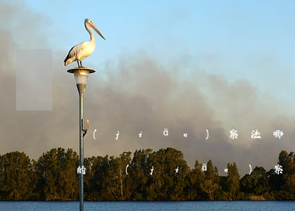 監(jiān)察法哪一年通過(guò)的(監(jiān)察法是幾年通過(guò)的)