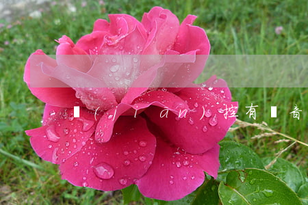 監(jiān)控有聲音嗎