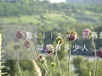 監(jiān)獄有多少犯人(監(jiān)獄里有多少人)